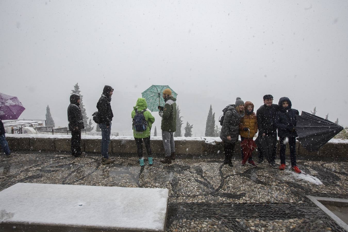 Granada lució de blanco el día de Reyes