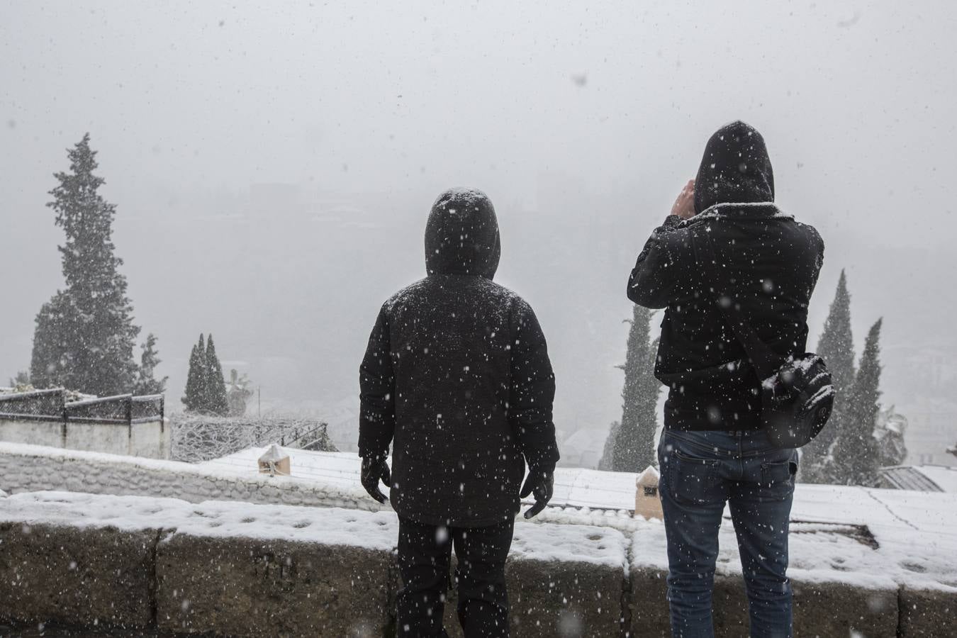 Granada lució de blanco el día de Reyes