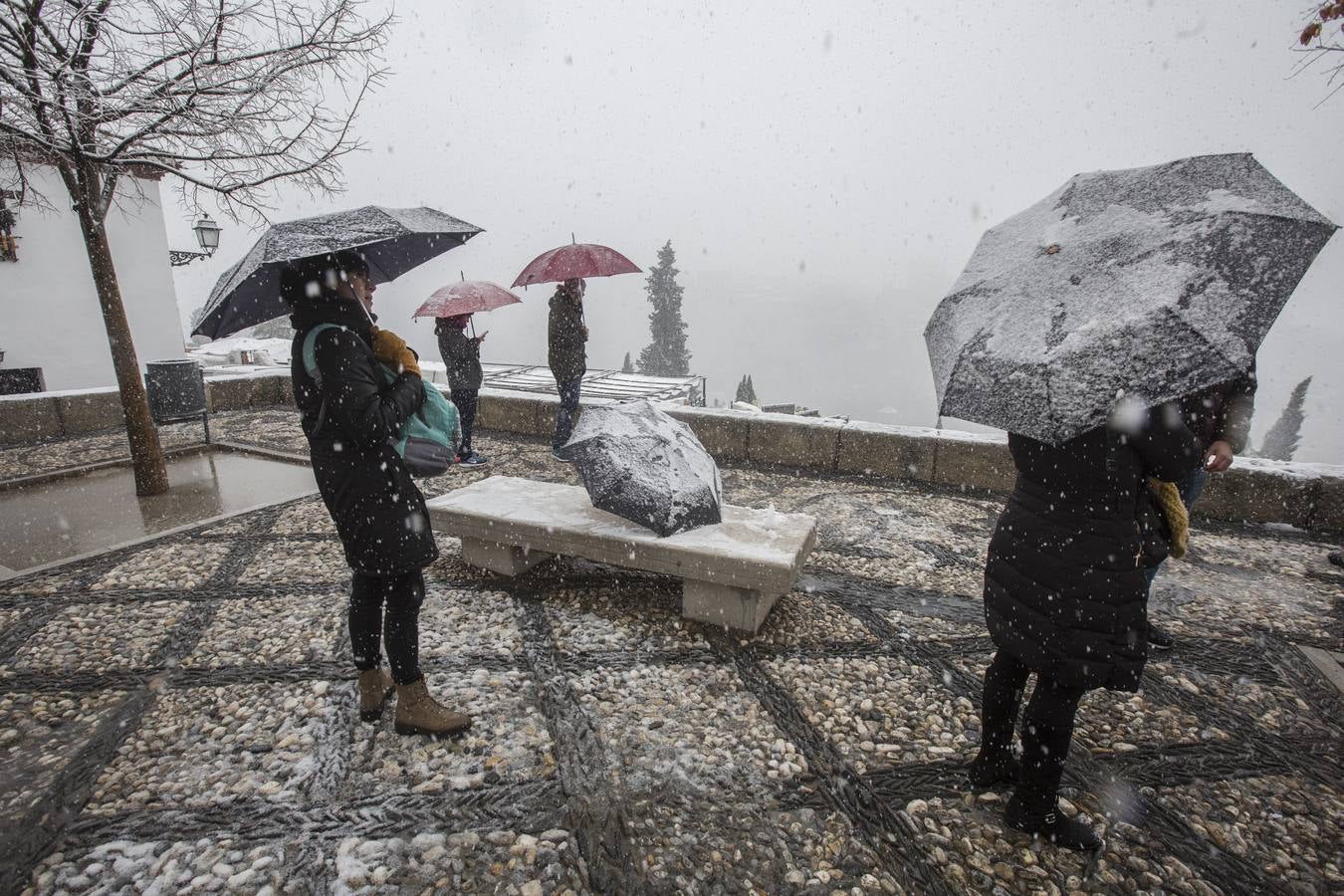 Granada lució de blanco el día de Reyes