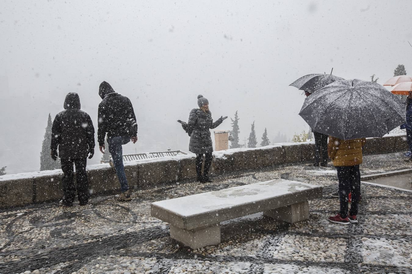 Granada lució de blanco el día de Reyes