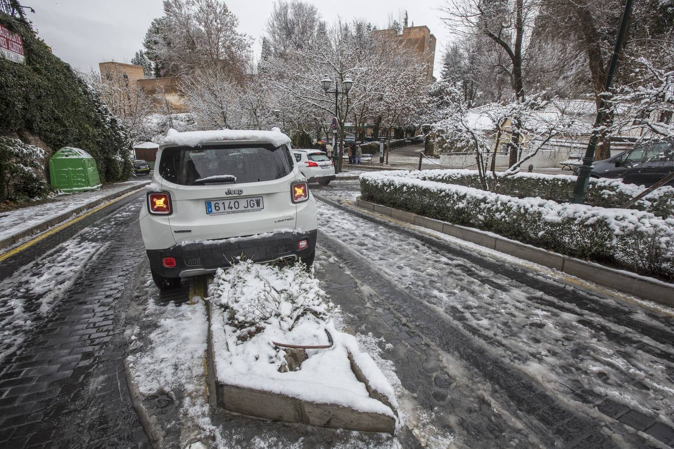 Granada lució de blanco el día de Reyes