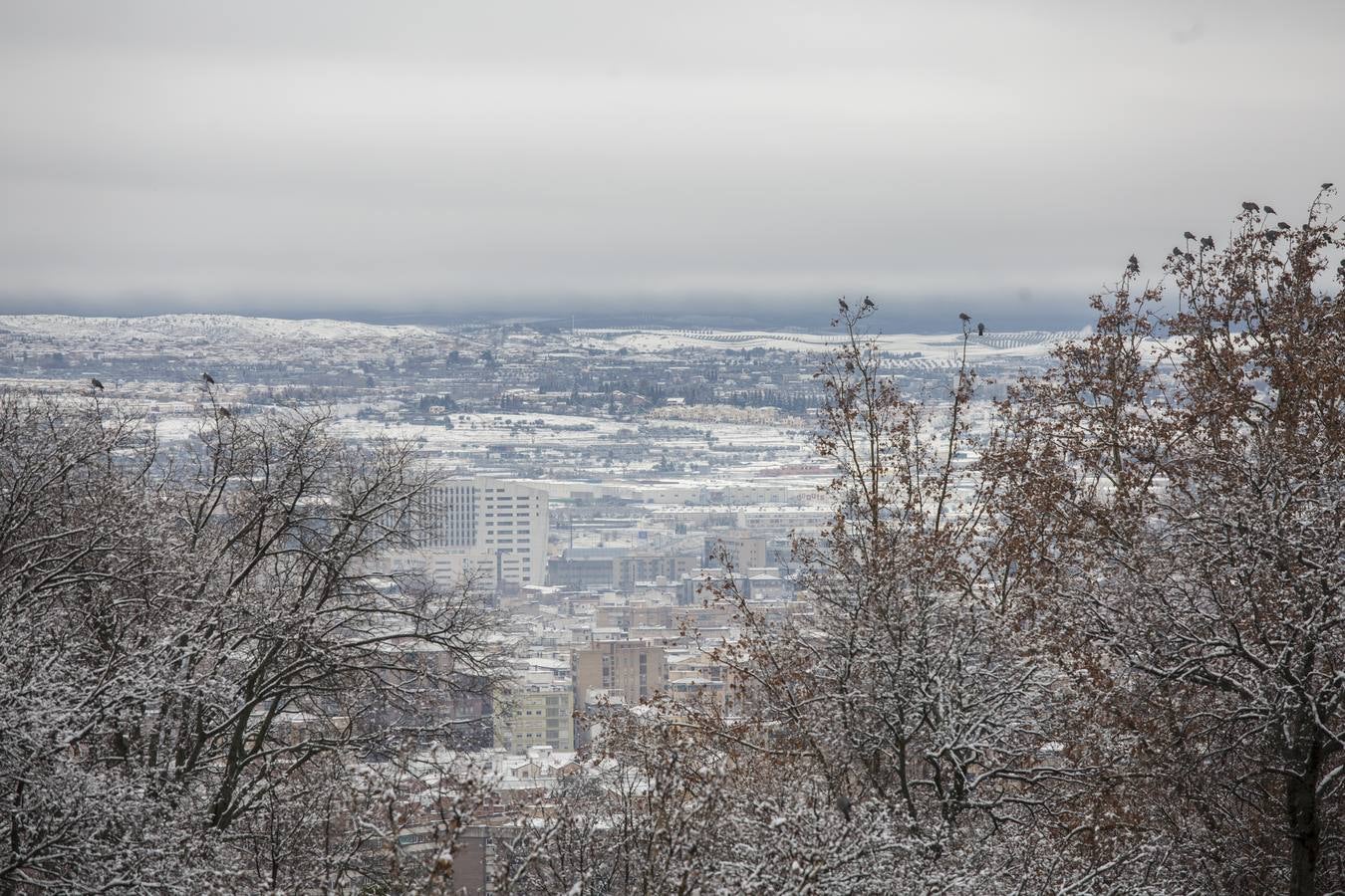 Granada lució de blanco el día de Reyes