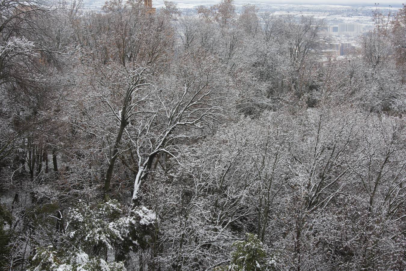 Granada lució de blanco el día de Reyes