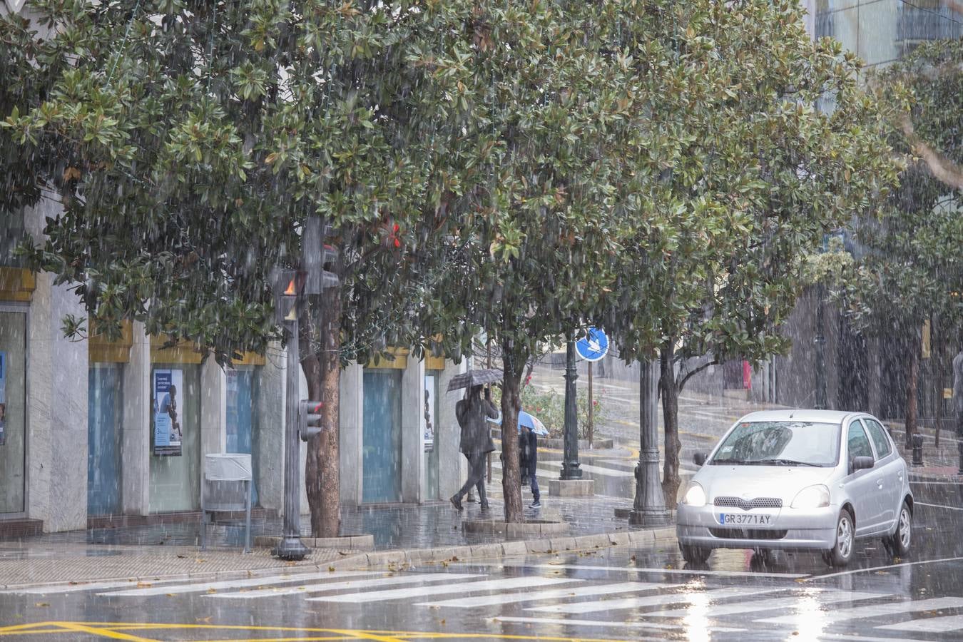 Granada lució de blanco el día de Reyes
