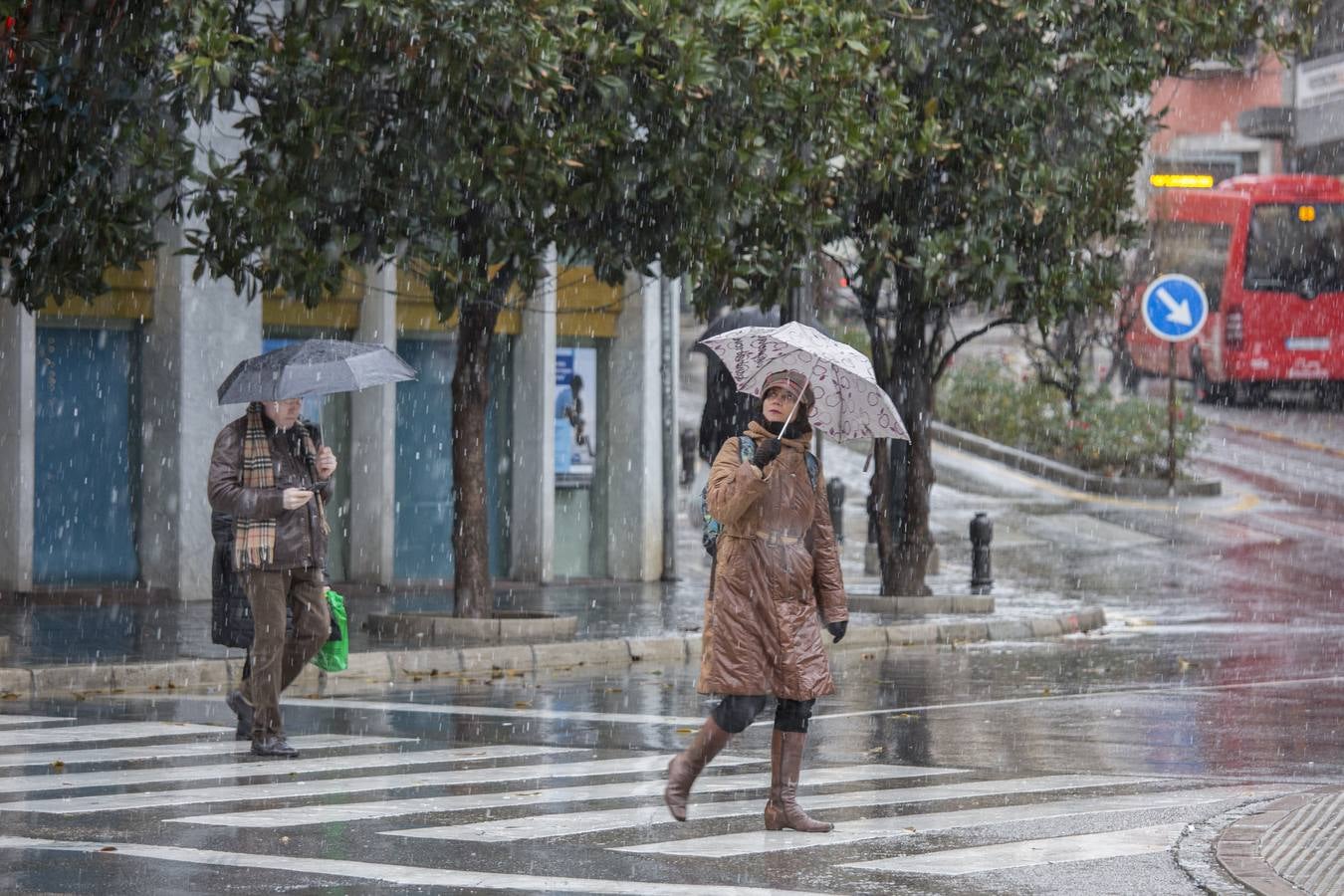 Granada lució de blanco el día de Reyes