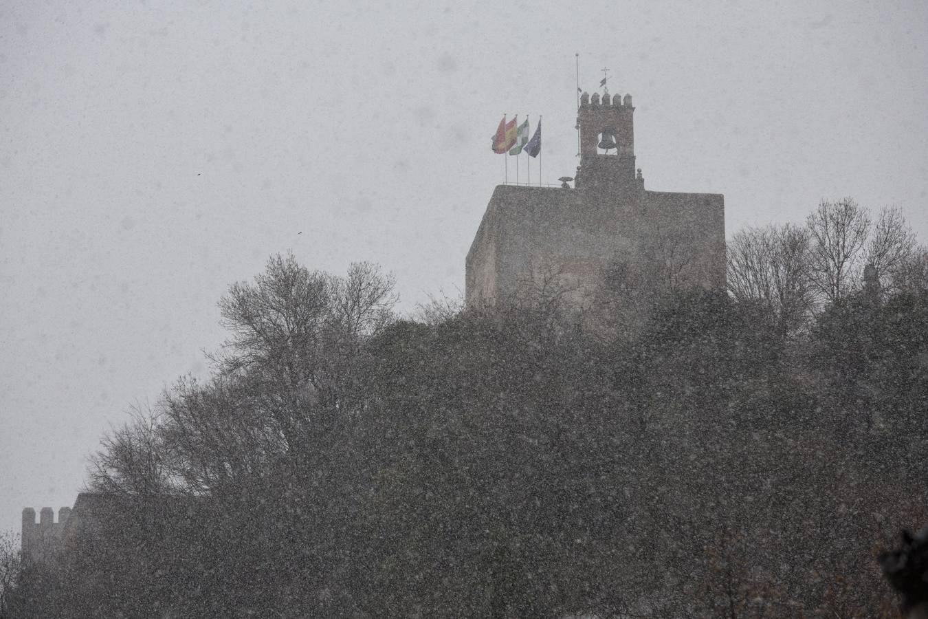 Granada lució de blanco el día de Reyes