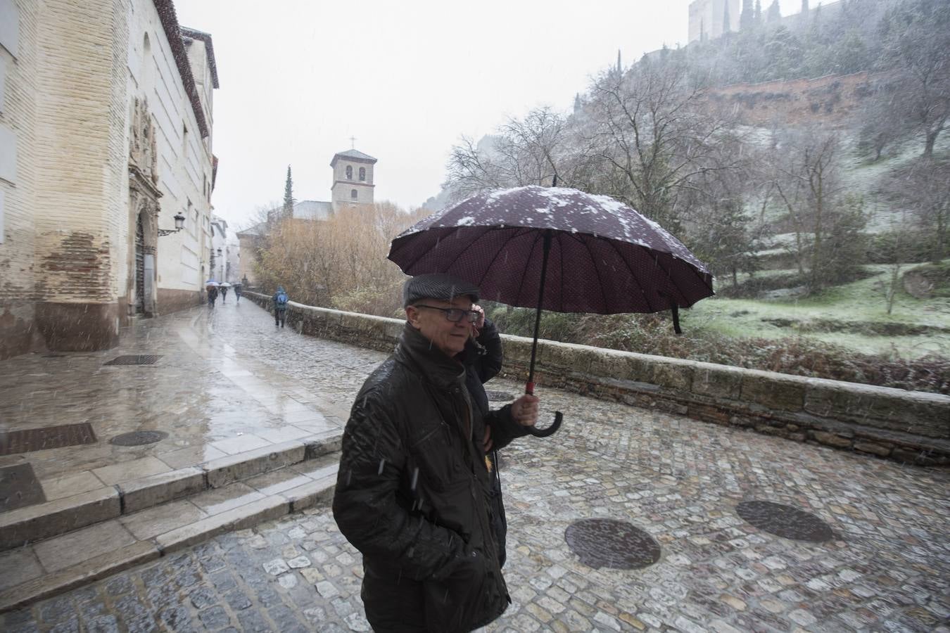 Granada lució de blanco el día de Reyes