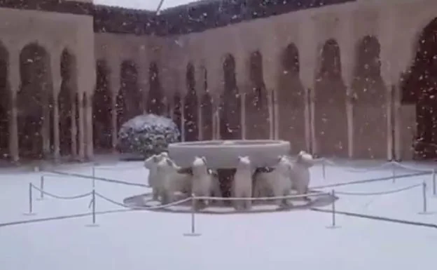 El bello vídeo de la nieve sobre el Patio de los Leones que ha dado la  vuelta al mundo | Ideal