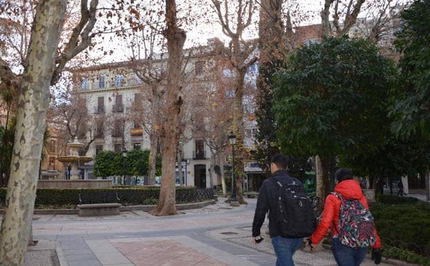 La limpieza regresa a la Plaza de la Trinidad tras la marcha de los estorninos.