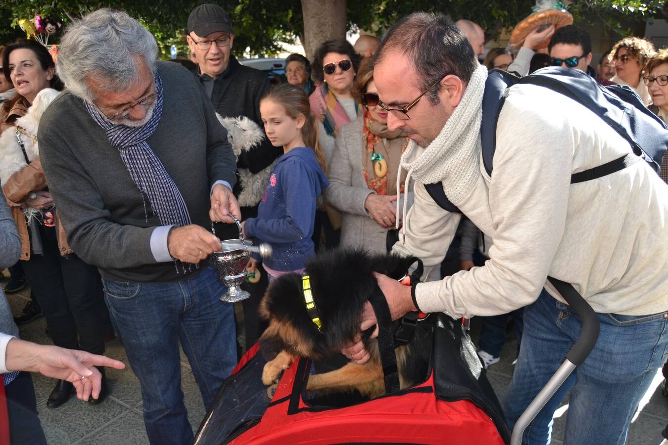 Cientos de personas participan en la tradicional de 'rabicos' junto a la ermita para recaudar fondos para la parroquia de San Juan