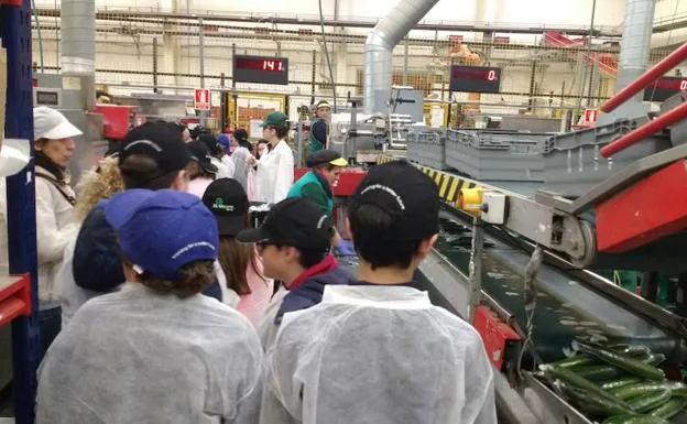 Escolares visitando las instalaciones de la cooperativa El Grupo de Castell de Ferro.