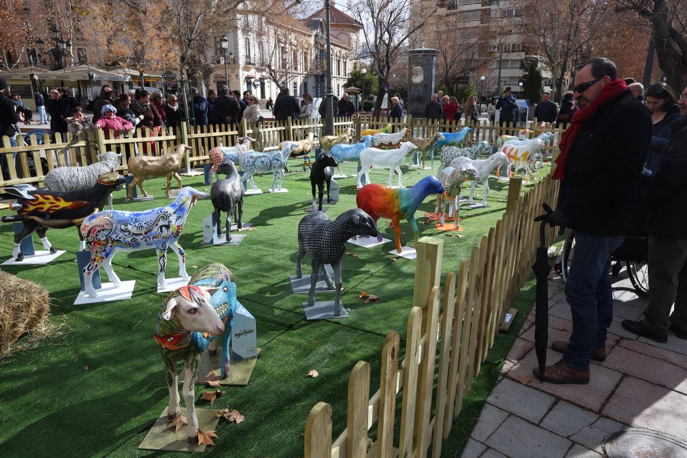 Exposición de más de 20 esculturas de fibra de vidrio en tamaño natural de corderos diseñadas por el escultor Miguel Moreno y decoradas por artistas, una muestra en Puerta Real