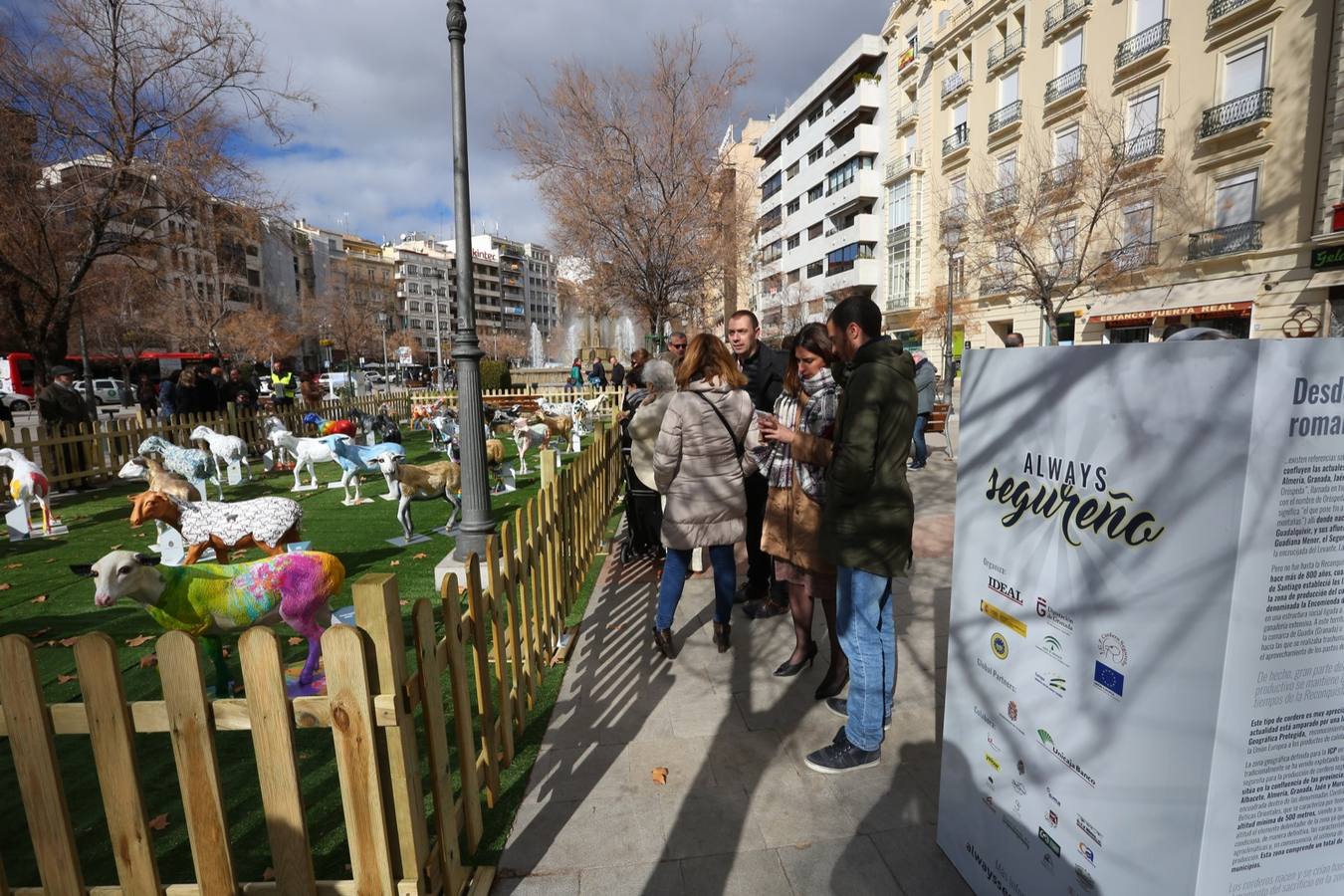 Exposición de más de 20 esculturas de fibra de vidrio en tamaño natural de corderos diseñadas por el escultor Miguel Moreno y decoradas por artistas, una muestra en Puerta Real