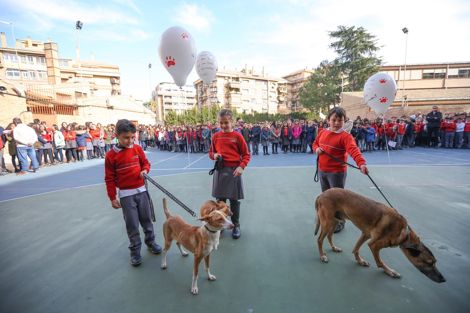 Los chavales del centro llevan preparando estas actividades desde el 22 de enero y terminarán el 1 de febrero