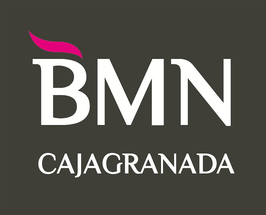 Logotipo de BMN