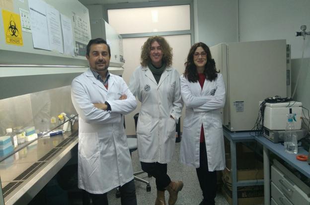 Investigadores de la Universidad de Jaén que trabajan en este proyecto.