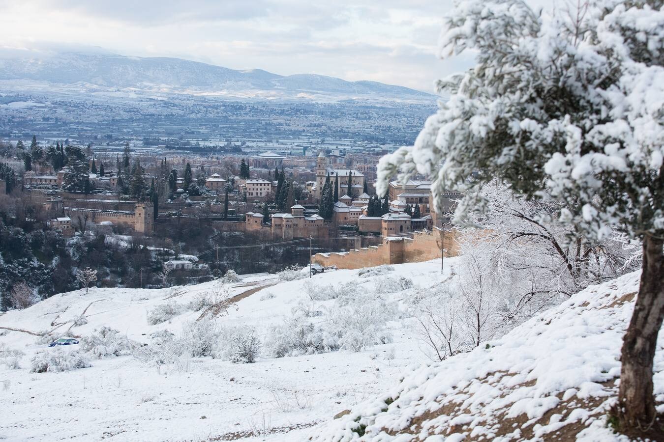 El lunes 5 de febrero de 2018 Granada se despierta bajo un manto blanco
