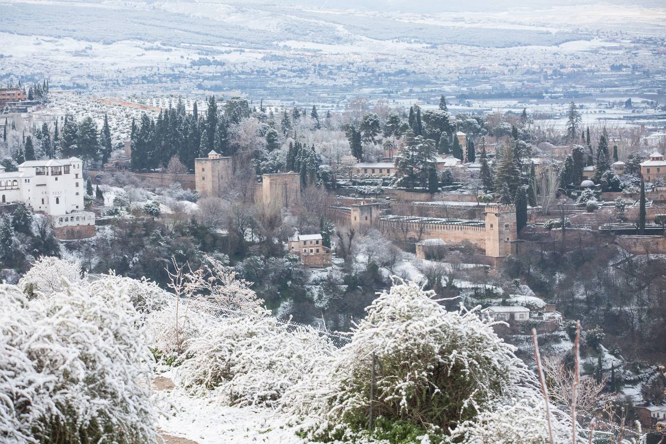 El lunes 5 de febrero de 2018 Granada se despierta bajo un manto blanco