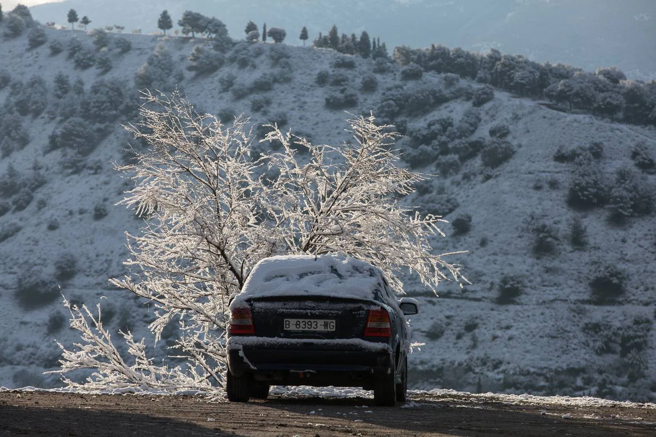 El lunes 5 de febrero de 2018 Granada se despierta bajo un manto blanco