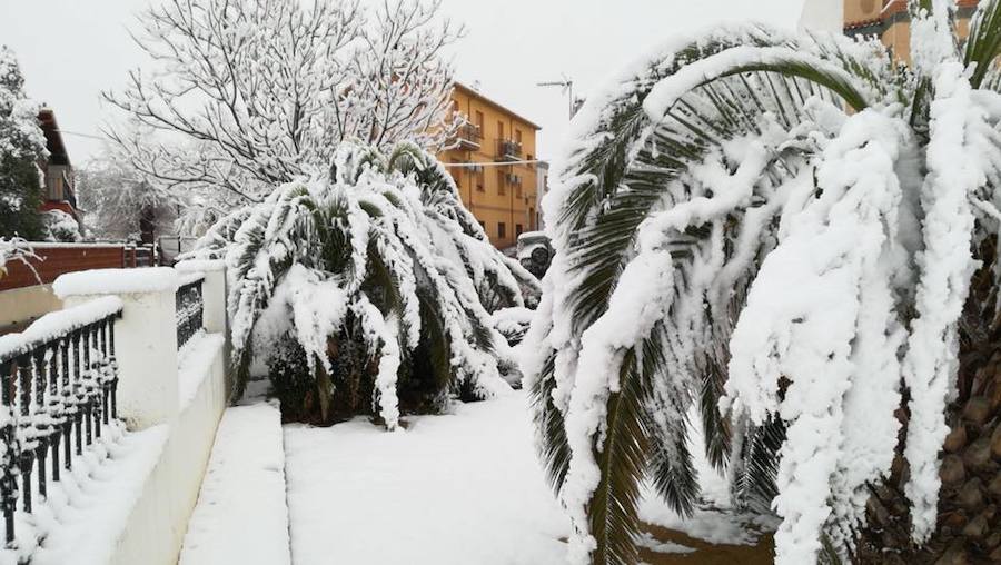 Nieve en Jaén