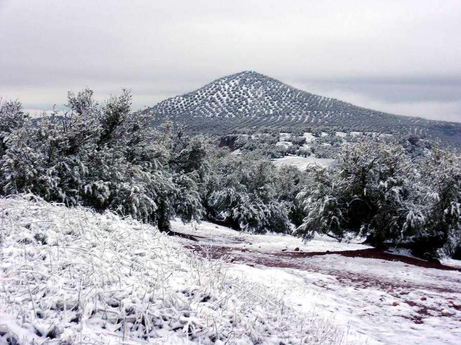 Nieve en Jaén