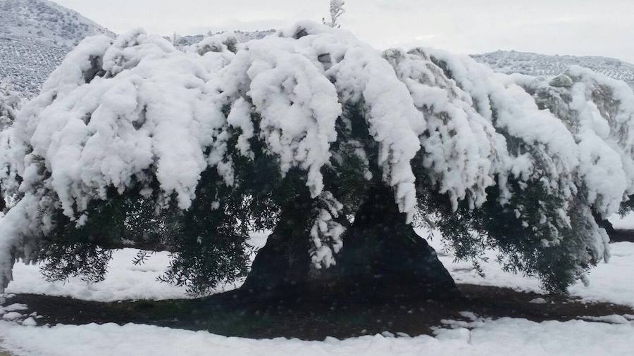 Nieve en Jaén