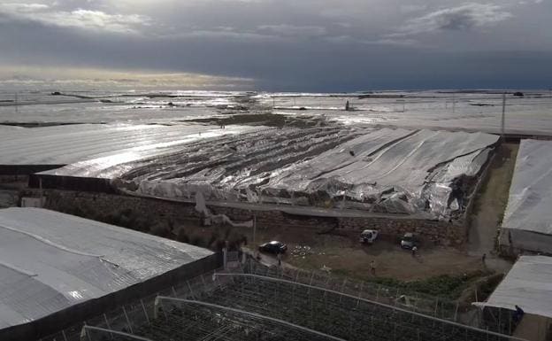 Imagen de los invernaderos de El Ejido tras el paso del tornado que provocó numerosos destrozos.