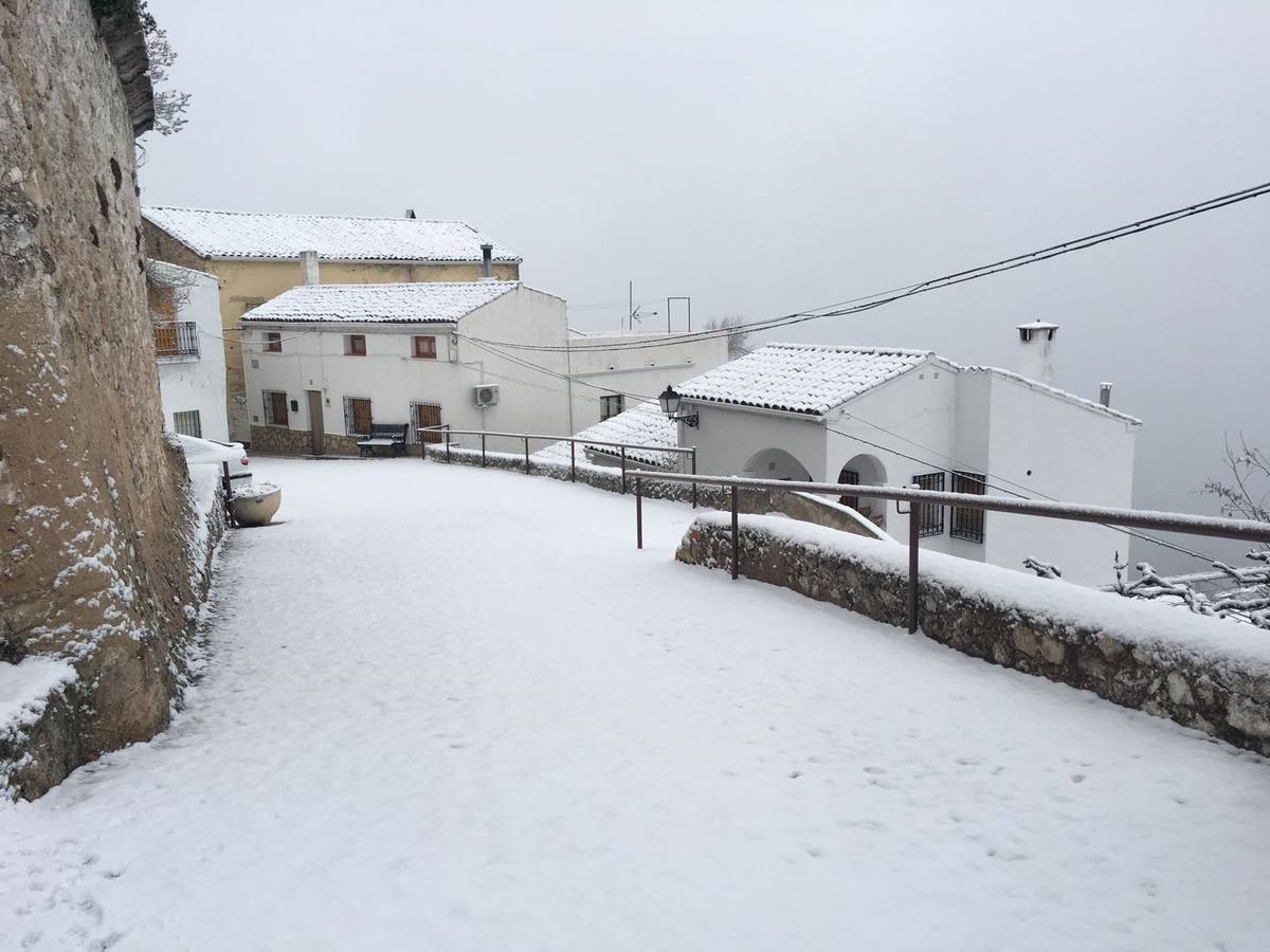 Los camiones tuvieron que quedarse inmovilizados para evitar el paso por Puerto Carretero
