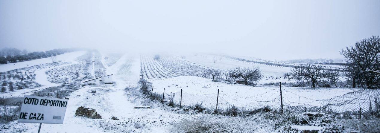 Los camiones tuvieron que quedarse inmovilizados para evitar el paso por Puerto Carretero