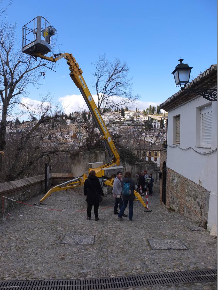 El Patronato de la Alhambra ha vuelto a encargar a la UGR el estudio para el mantenimiento de los taludes