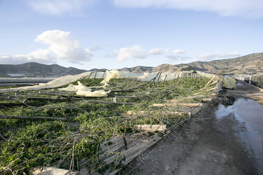 Daños provocados por el fuerte temporal que arrasó con algunos invernaderos de la Costa de Granada