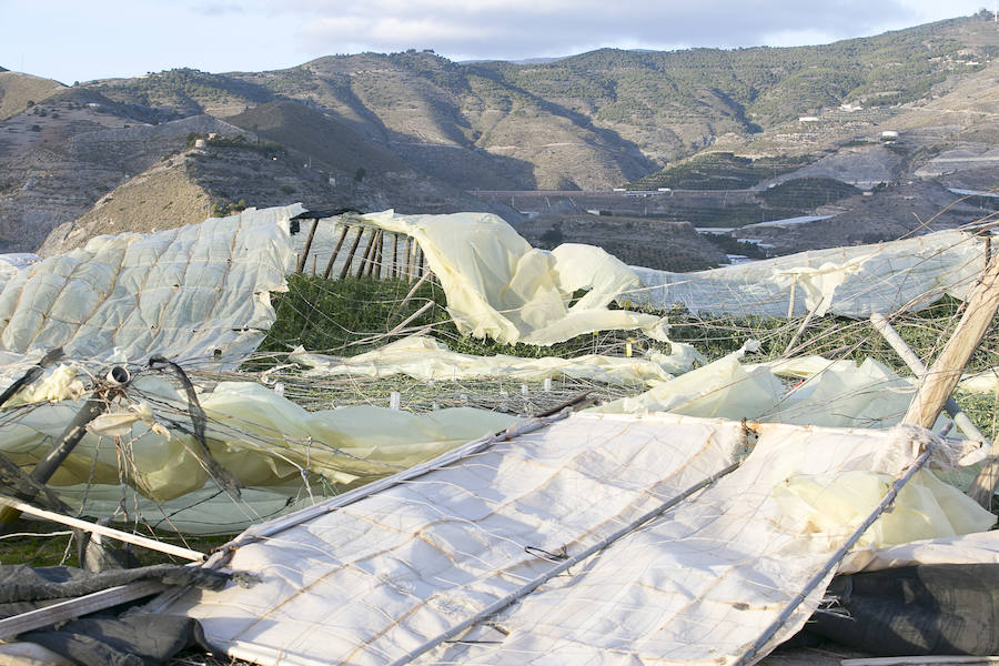 Daños provocados por el fuerte temporal que arrasó con algunos invernaderos de la Costa de Granada