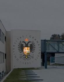 Imagen secundaria 2 - Una tormenta de ideas cae sobre Granada