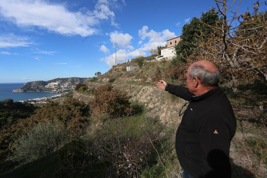 Los agricultores reclaman medidas extraordinarias como la recarga del acuífero para salvar las 4.800 hectáreas de subtropicales sexitanas