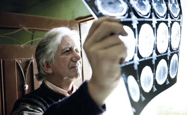Gran avance científico: logran revertir el Alzheimer en ratones