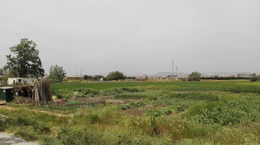 Impulsar el potencial agroalimentario de la Vega de Granada con la mejora de su infraestructura agraria implantando de industrias de transformación y conservación