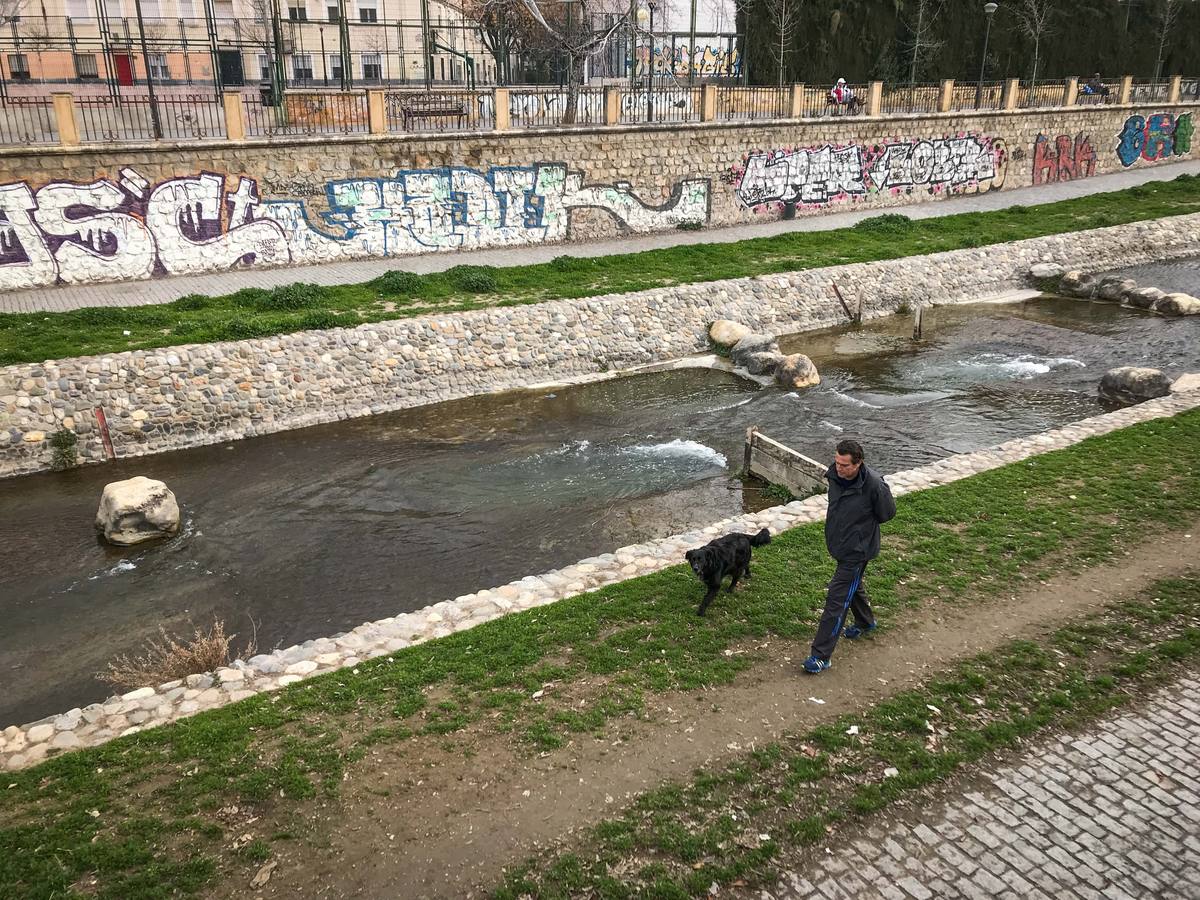 Muros, pretiles y puentes del Genil se han convertido en un espacio propicio para los gamberros se 'luzcan' con el espray o el rotulador