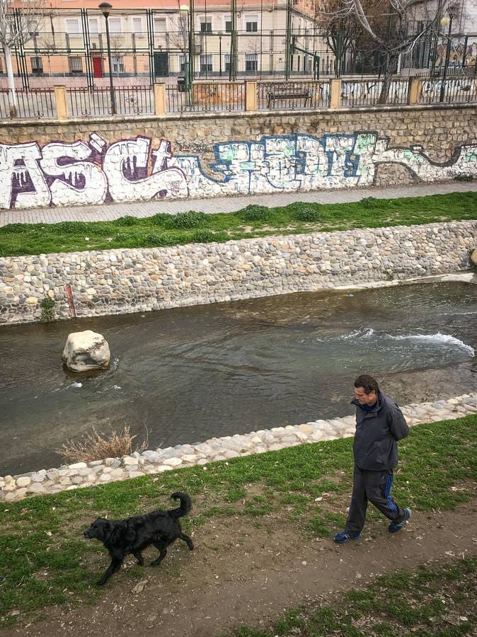 Muros, pretiles y puentes del Genil se han convertido en un espacio propicio para los gamberros se 'luzcan' con el espray o el rotulador