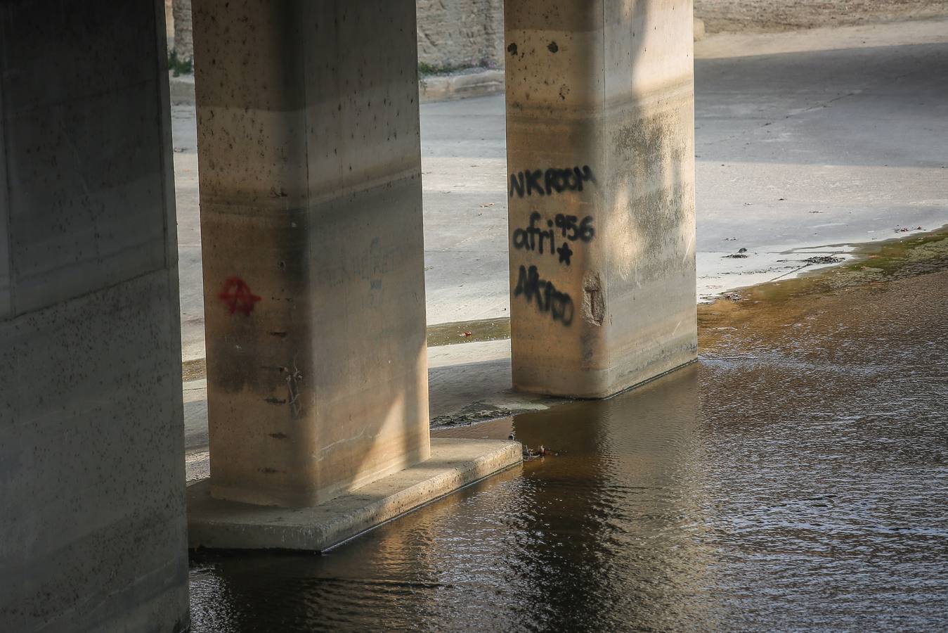 Muros, pretiles y puentes del Genil se han convertido en un espacio propicio para los gamberros se 'luzcan' con el espray o el rotulador