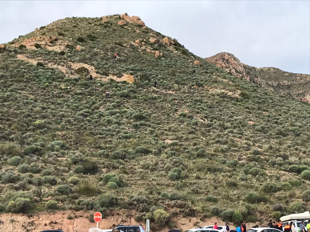 No se descarta ninguna hipótesis en la investigación