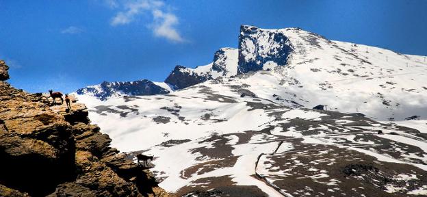 La imagen del pico del Veleta se recorta sobre el cielo desde los peñones de San Francisco.