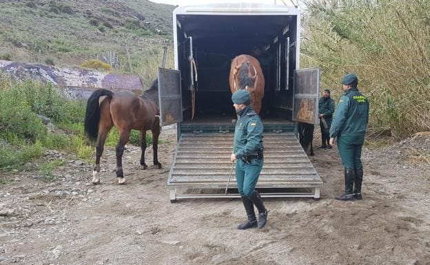 El escuadrón de Caballería apoya la búsqueda de Gabriel 