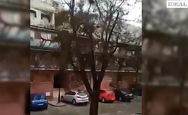Graba el momento justo en el que el viento derrumba un árbol en mitad de la vía en Granada