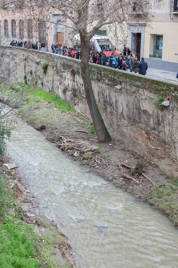 Los ríos Beiro, Darro, Dílar, Genil y Monachil, tras las últimas precipitaciones