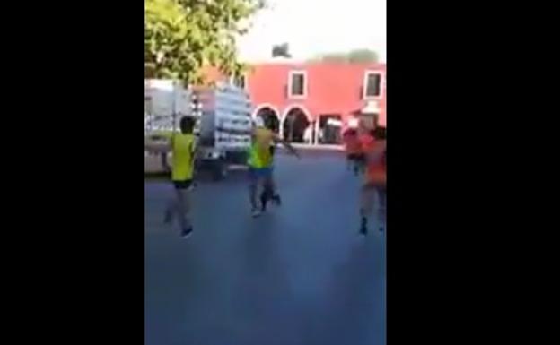 Indignación en toda España por la brutal patada de un corredor a un perro en la maratón de Valladolid