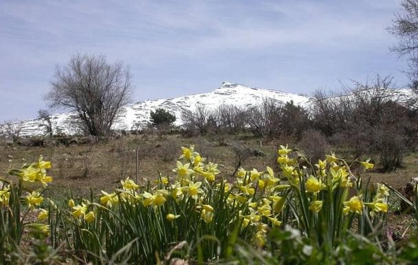 5 jardines de lujo en la provincia de Granada para visitar en primavera