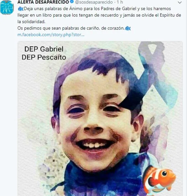 S.O.S Desaparecidos pide tu mensaje para hacer un libro para los padres de Gabriel