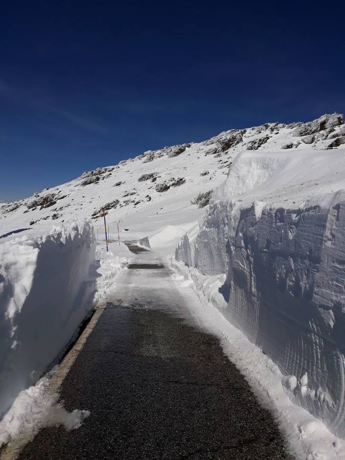 Francisco Peña, representante del Kiosko-Bar Hoya de la Mora afirma que viven una situación «sin precedentes desde hace 20 años»