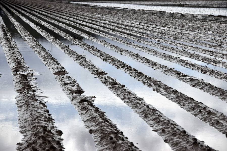 El paraguas ha sido el protagonista de estas imágenes de marzo