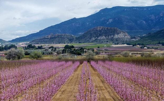 Los secretos de la primavera 2018: cambio de hora, tiempo insólito y fenómenos en el cielo